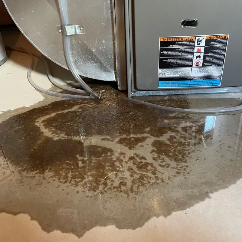 Pipe Burst and Leak Restoration in Wellston, OH