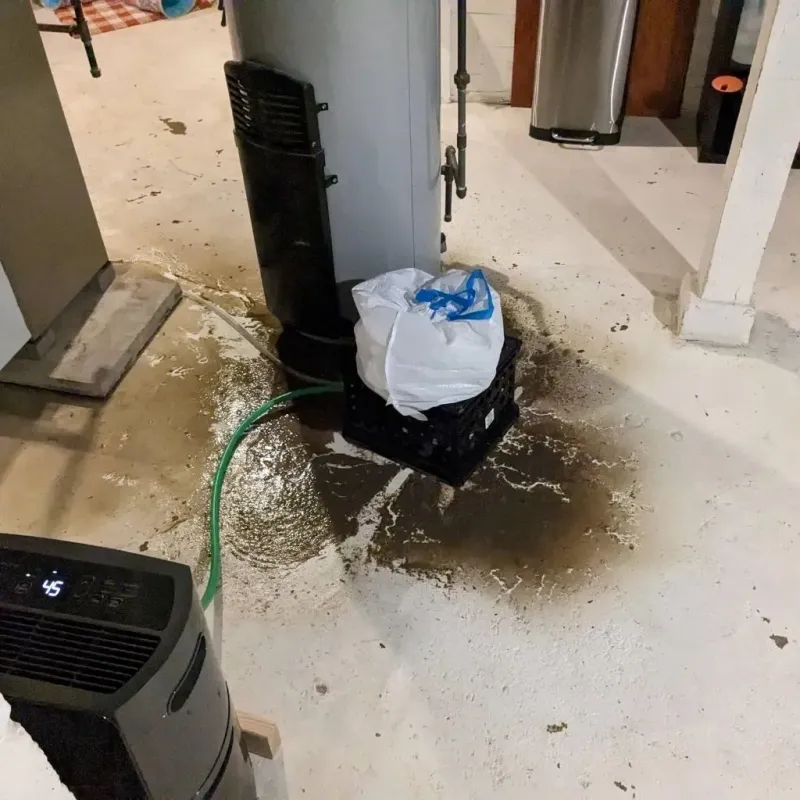 Sewage Backup Cleanup Service in Wellston, OH
